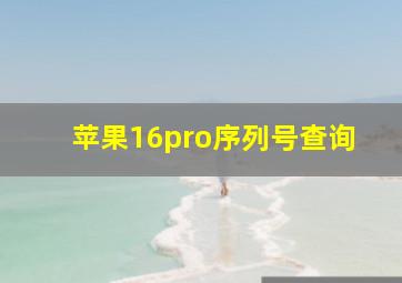 苹果16pro序列号查询