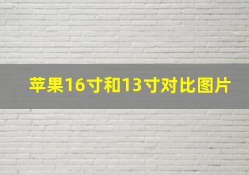 苹果16寸和13寸对比图片