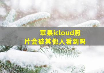 苹果icloud照片会被其他人看到吗