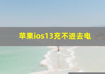 苹果ios13充不进去电