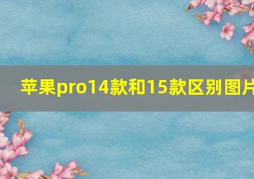 苹果pro14款和15款区别图片