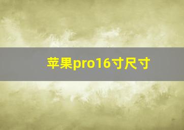 苹果pro16寸尺寸