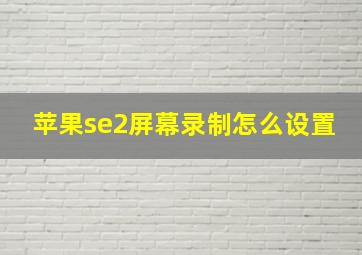 苹果se2屏幕录制怎么设置