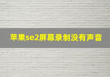 苹果se2屏幕录制没有声音