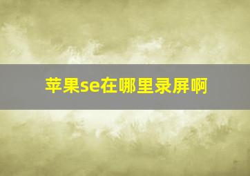 苹果se在哪里录屏啊