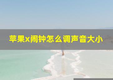 苹果x闹钟怎么调声音大小