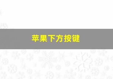 苹果下方按键