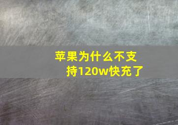 苹果为什么不支持120w快充了