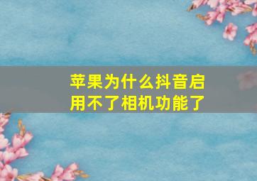 苹果为什么抖音启用不了相机功能了