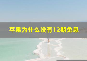 苹果为什么没有12期免息