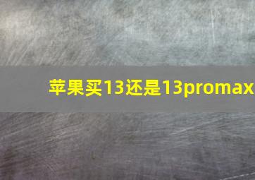 苹果买13还是13promax