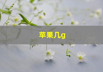 苹果几g