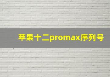 苹果十二promax序列号