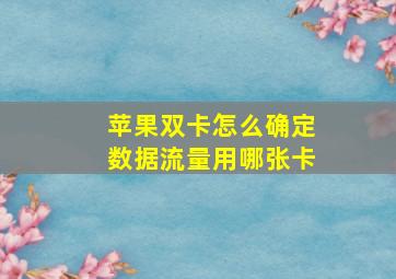 苹果双卡怎么确定数据流量用哪张卡