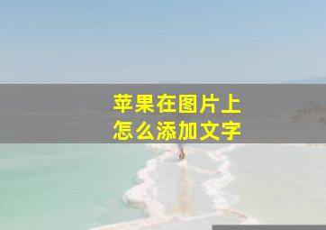 苹果在图片上怎么添加文字