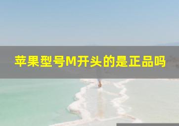 苹果型号M开头的是正品吗