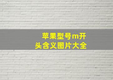 苹果型号m开头含义图片大全