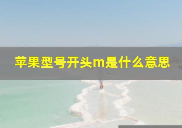 苹果型号开头m是什么意思