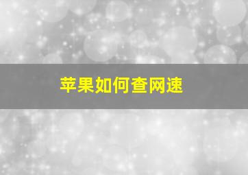 苹果如何查网速