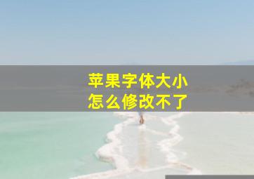 苹果字体大小怎么修改不了