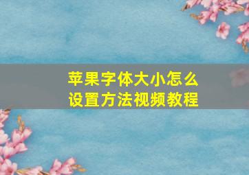 苹果字体大小怎么设置方法视频教程