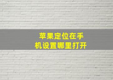 苹果定位在手机设置哪里打开