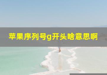 苹果序列号g开头啥意思啊