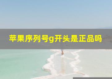 苹果序列号g开头是正品吗