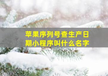 苹果序列号查生产日期小程序叫什么名字