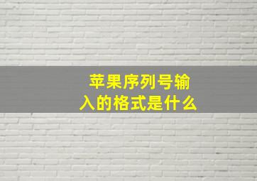 苹果序列号输入的格式是什么