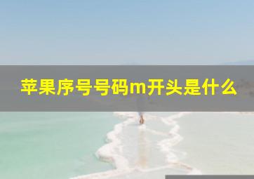 苹果序号号码m开头是什么