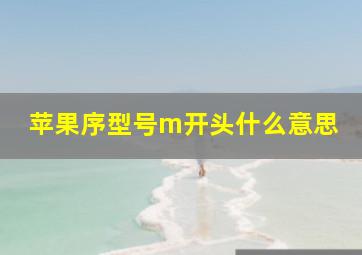 苹果序型号m开头什么意思