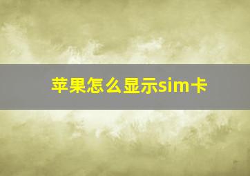 苹果怎么显示sim卡