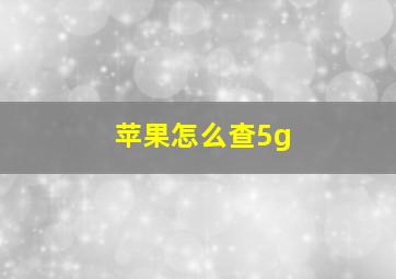 苹果怎么查5g