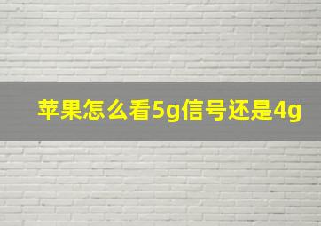 苹果怎么看5g信号还是4g