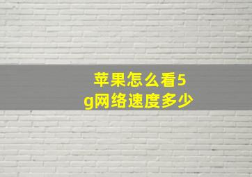 苹果怎么看5g网络速度多少