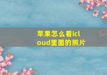 苹果怎么看icloud里面的照片