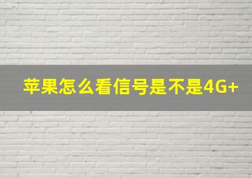 苹果怎么看信号是不是4G+