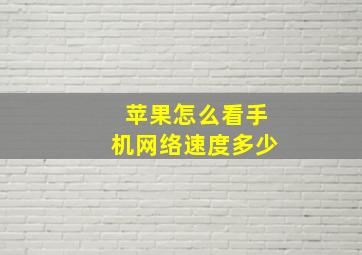 苹果怎么看手机网络速度多少