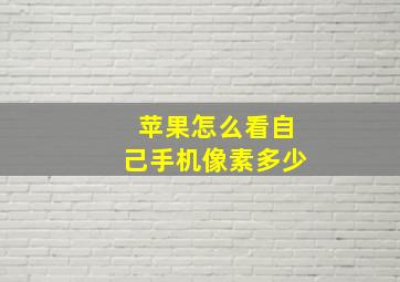 苹果怎么看自己手机像素多少