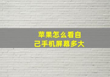 苹果怎么看自己手机屏幕多大