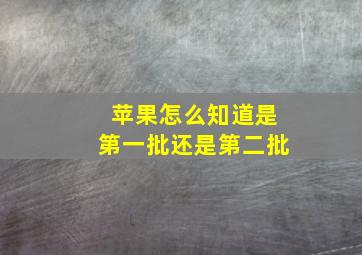 苹果怎么知道是第一批还是第二批