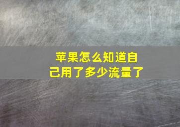 苹果怎么知道自己用了多少流量了