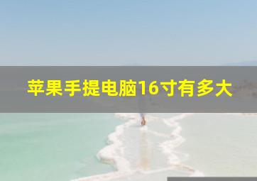 苹果手提电脑16寸有多大