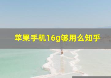 苹果手机16g够用么知乎