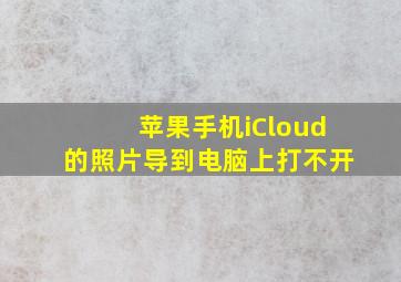 苹果手机iCloud的照片导到电脑上打不开