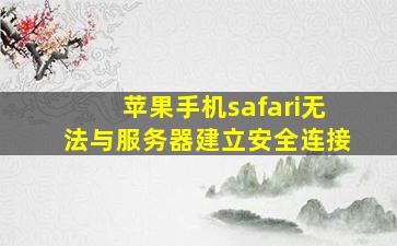 苹果手机safari无法与服务器建立安全连接