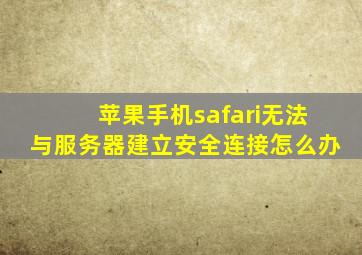 苹果手机safari无法与服务器建立安全连接怎么办