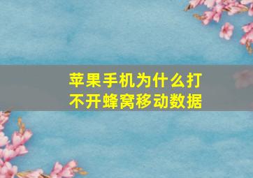 苹果手机为什么打不开蜂窝移动数据