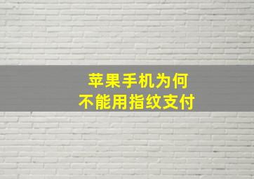 苹果手机为何不能用指纹支付